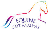&nbsp;Equine Gait Analysis